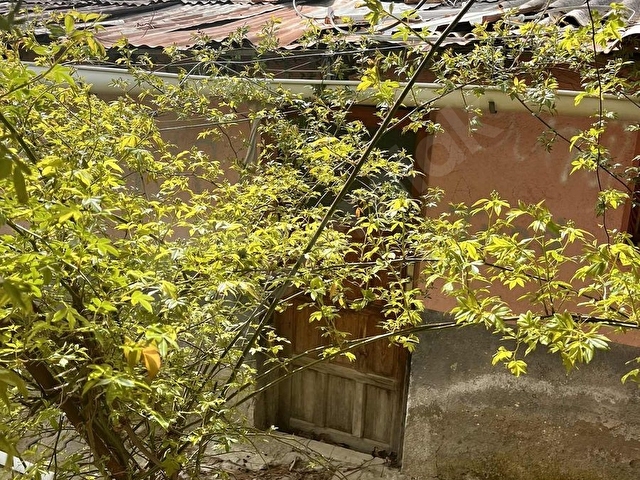 Banaz 31 Ağustos Mh Bahçeli 120m2 3+1 Müstakil Ev - Görsel 20