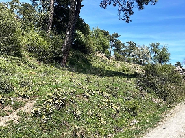 MENTEŞE ÇATAKBAĞYAKA 761m2 GELİŞİME AÇIK BÖLGEDE SATILIK ARSA - Görsel 3