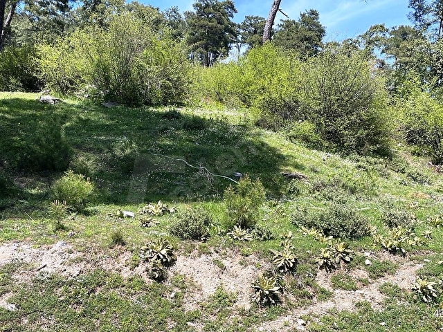 MENTEŞE ÇATAKBAĞYAKA 761m2 GELİŞİME AÇIK BÖLGEDE SATILIK ARSA - Görsel 7