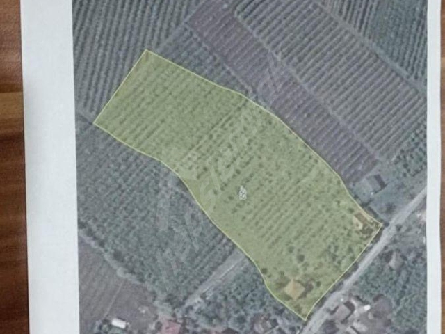 Çarşamba Karamustafalıda Satılık 3469 m² Tarla - Görsel 7