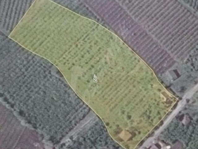 Çarşamba Karamustafalıda Satılık 3469 m² Tarla - Görsel 21
