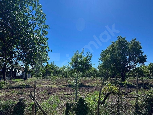 Çarşamba Karamustafalıda Satılık 3469 m² Tarla - Görsel 12