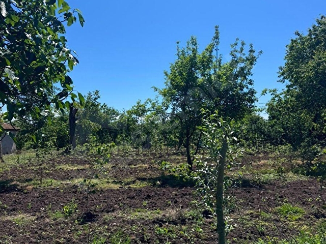 Çarşamba Karamustafalıda Satılık 3469 m² Tarla - Görsel 28
