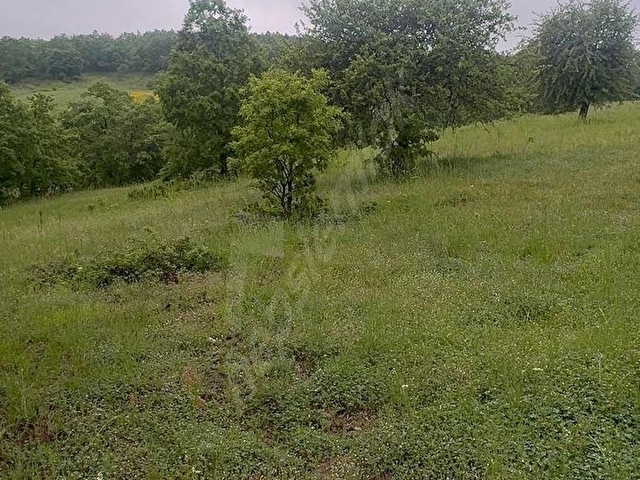 BALIKESİR DURSUNBEY KAVACIK KÖYÜN DE KUPON YER - Görsel 4