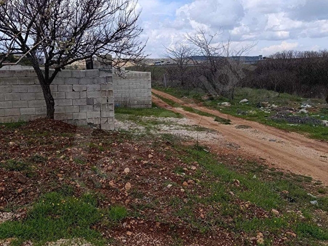 YIGINLIDA TEK TAPU BAĞ EVİ - Görsel 16