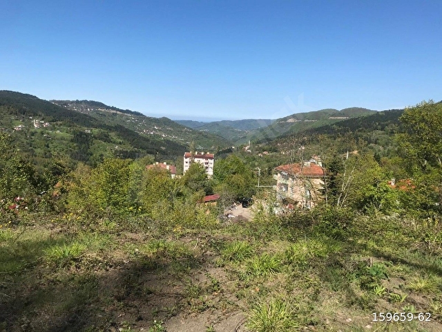 ACİL SATILIK KASTAMONU İNEBOLU KABALAR KÖYÜ KÖK MAHALLESİNDE SATILIK TARLA - Görsel 5
