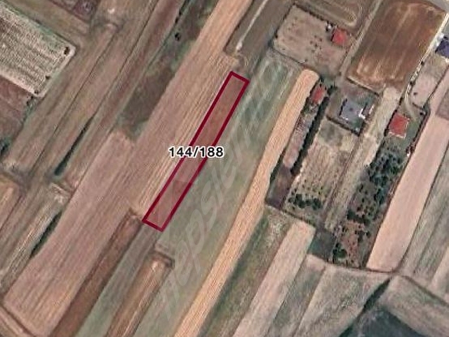 TEKİRDAĞ SARAY’da TARLA - Görsel 2