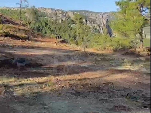 YATIRIMLIK DOGA İLE BAŞBAŞA - Görsel 12