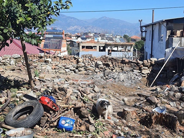 AYDIN EFELER GÖLHİSAR KÖYÜNDE 297 M2 ARSA İÇİNDE KÖY EVİ SATILIKTIR - Görsel 23