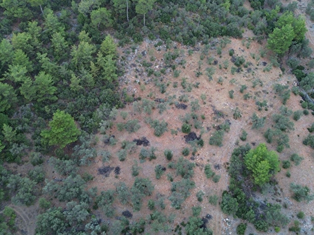 SEYDİKEMER KABAAĞAÇ MAHALLESİ 11.000M2 ZEYTİNLİK - Görsel 12