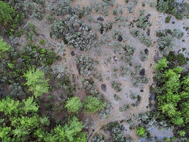 SEYDİKEMER KABAAĞAÇ MAHALLESİ 11.000M2 ZEYTİNLİK - Görsel 4