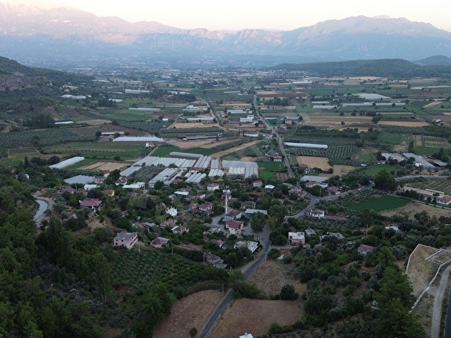 SEYDİKEMER KABAAĞAÇ MAHALLESİ 11.000M2 ZEYTİNLİK - Görsel 15