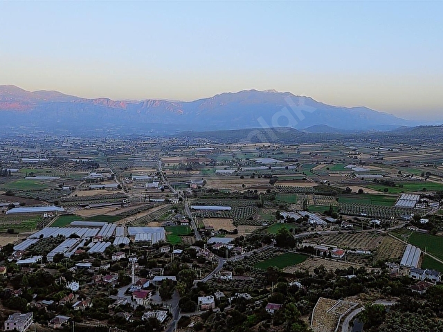 SEYDİKEMER KABAAĞAÇ MAHALLESİ 11.000M2 ZEYTİNLİK - Görsel 16