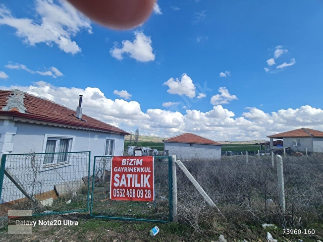 PECENEK TE SULU TELLI HAZIR BAHÇE - Görsel 3