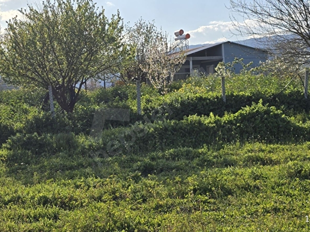 SAKARYA P.OVA CUMHURİYET MAH.YHT İSTASYONUNA ÇARŞIYA YAKIN BAHÇE - Görsel 30