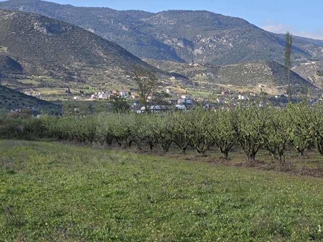 SAKARYA P.OVA CUMHURİYET MAH.YHT İSTASYONUNA ÇARŞIYA YAKIN BAHÇE - Görsel 15