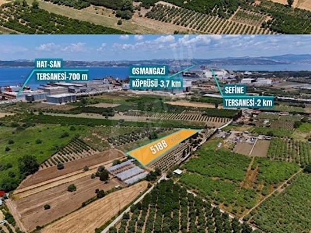YALOVA ALTINOVA DA DEĞERLİ LOKASYONDA SATILIK TARLA - Görsel 2