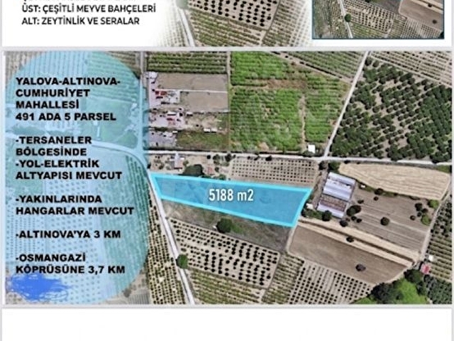 YALOVA ALTINOVA DA DEĞERLİ LOKASYONDA SATILIK TARLA - Görsel 9