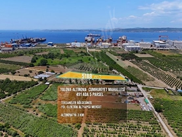 YALOVA ALTINOVA DA DEĞERLİ LOKASYONDA SATILIK TARLA