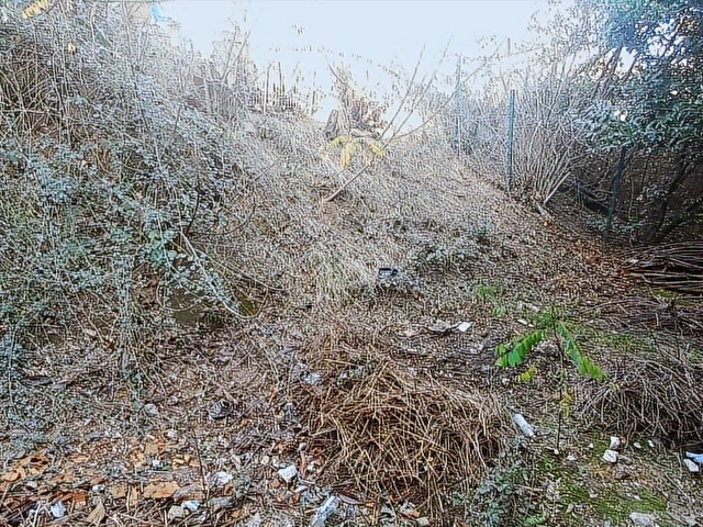 Sarıyer Merkeze Yakın Yenilenmiş Bahçeli Kiralık Dükkân - Görsel 27