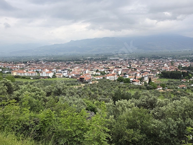 SAKARYA PAMUKOVA ELPEREK MAH. MANZARALI ZEYTİN BAHÇESİ - Görsel 22