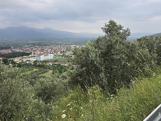 SAKARYA PAMUKOVA ELPEREK MAH. MANZARALI ZEYTİN BAHÇESİ - Görsel 17