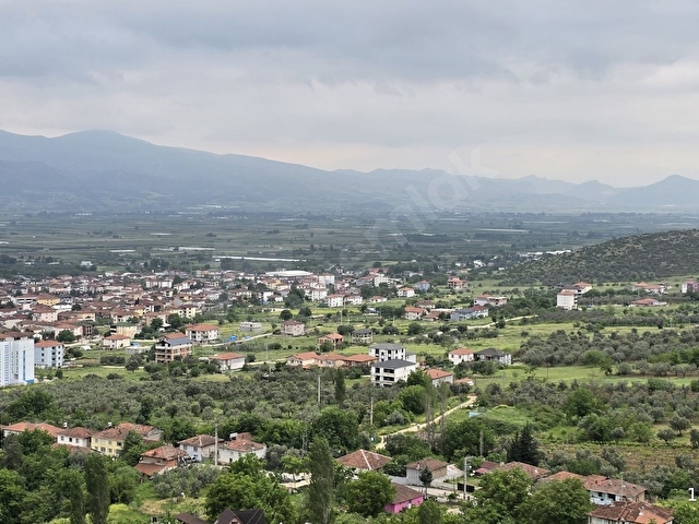 SAKARYA PAMUKOVA ELPEREK MAH. MANZARALI ZEYTİN BAHÇESİ - Görsel 12