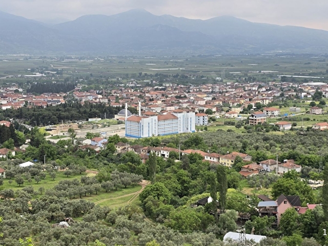 SAKARYA PAMUKOVA ELPEREK MAH. MANZARALI ZEYTİN BAHÇESİ - Görsel 10
