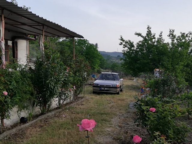 Bursa Osmangazi Aksungur Da Satilik Bahce Evi Ve Mustemilati 114757 272 Hurriyet Emlak