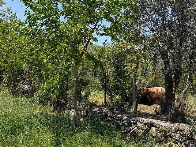 MELEMEN ALANİÇİ MH 396 m2 AÇİL FIRSAT BAHÇE - Görsel 16