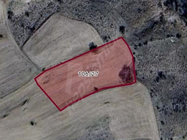 YOZGAT MERKEZ ÇALILI 3.818m2 YATIRIMLIK BAĞ BAHÇE YERİ - Görsel 18