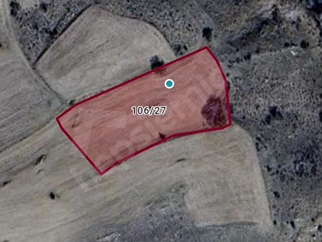 YOZGAT MERKEZ ÇALILI 3.818m2 YATIRIMLIK BAĞ BAHÇE YERİ - Görsel 16