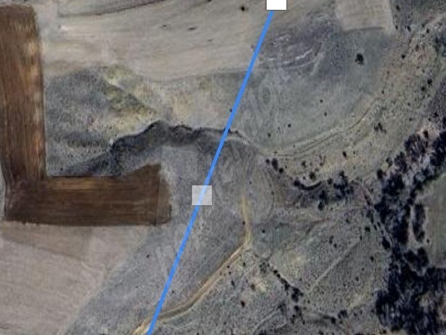 YOZGAT MERKEZ ÇALILI 3.818m2 YATIRIMLIK BAĞ BAHÇE YERİ - Görsel 22