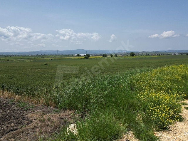 BİGA GÖKTEPE KÖYÜ’NDE 23.852 M² RESMİ YOL CEPHELİ YATIRIMLIK ARAZİ - Görsel 10