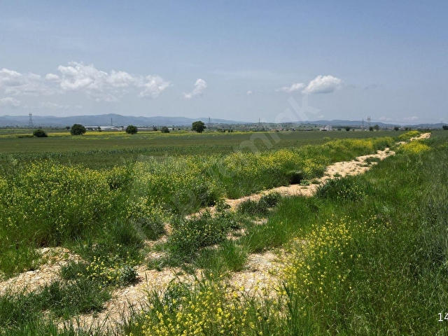 BİGA GÖKTEPE KÖYÜ’NDE 23.852 M² RESMİ YOL CEPHELİ YATIRIMLIK ARAZİ - Görsel 13