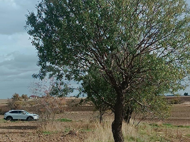 ŞEHİR MERKEZİNE YAKIN HATİCEHATUNDA SATILIK 1.700 M2 TARLA