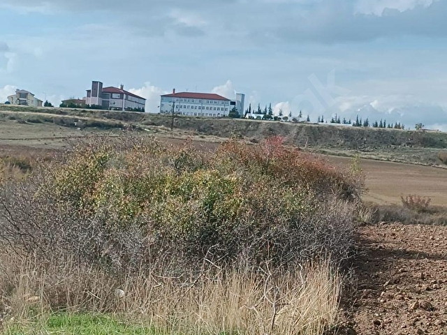 ŞEHİR MERKEZİNE YAKIN HATİCEHATUNDA SATILIK 1.700 M2 TARLA - Görsel 7