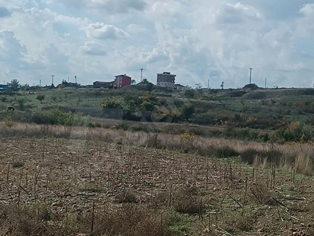 ŞEHİR MERKEZİNE YAKIN HATİCEHATUNDA SATILIK 1.700 M2 TARLA - Görsel 2