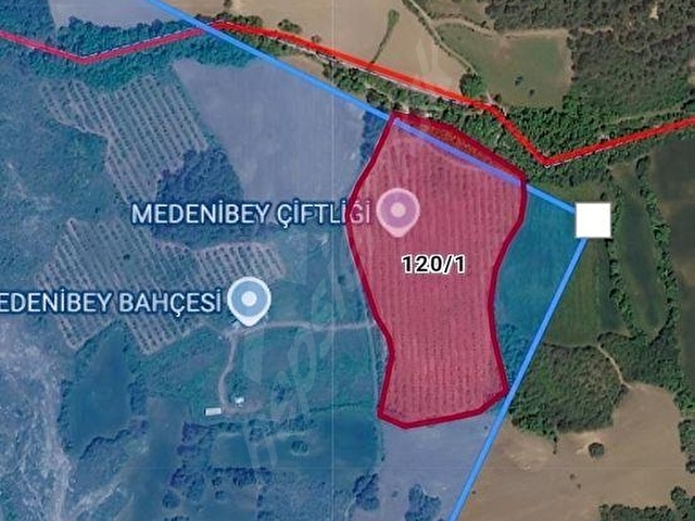 Çanakkale,Kızılkeçili Köyün de, Yatırımlık Ceviz Bahçesi - Görsel 14