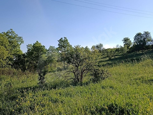 KAYHAN MAHALLESİNDE,MANZARALI, SÖĞÜTE 2 KM MESAFEDE FIRSAT ARAZİ - Görsel 21