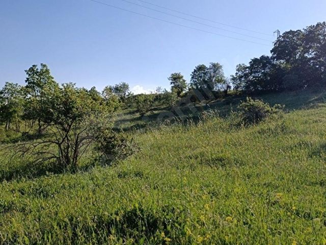 KAYHAN MAHALLESİNDE,MANZARALI, SÖĞÜTE 2 KM MESAFEDE FIRSAT ARAZİ - Görsel 20