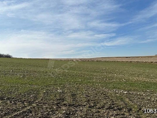 TEBERİKTE ANA ASFALTA CEPHELİ 13600 METRE TARLA - Görsel 7