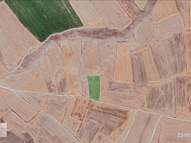 Yuvalıda Tek Tapu Kadastro Yoluna Sıfır 4680 m2 Tek Tapu Tarla - Görsel 3