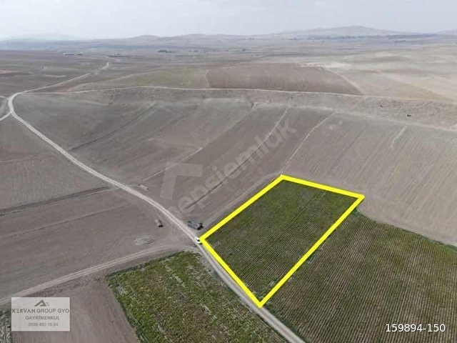 Yuvalıda Tek Tapu Kadastro Yoluna Sıfır 4680 m2 Tek Tapu Tarla - Görsel 8