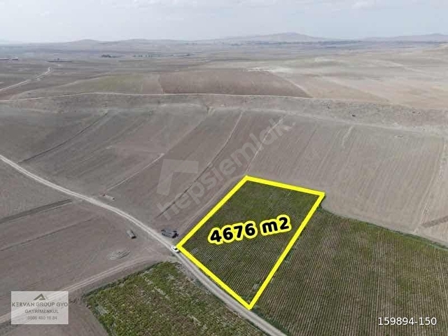 Yuvalıda Tek Tapu Kadastro Yoluna Sıfır 4680 m2 Tek Tapu Tarla - Görsel 12