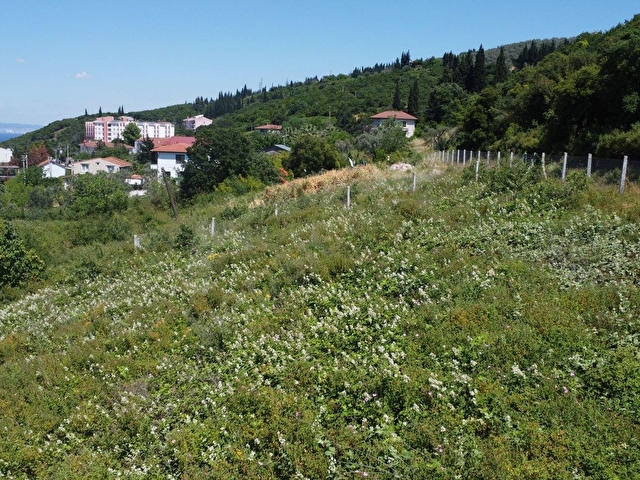 Ceyhun Emlaktan 671 m2 2 Adet Satılık Arsa - Görsel 11