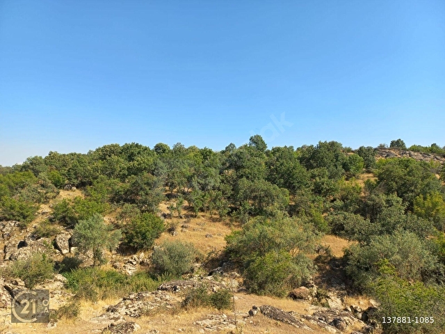 CENTURY21 LOCADAN DURSUNBEY GÖBÜL MAH.SATILIK 19419 m2 TARLA - Görsel 15