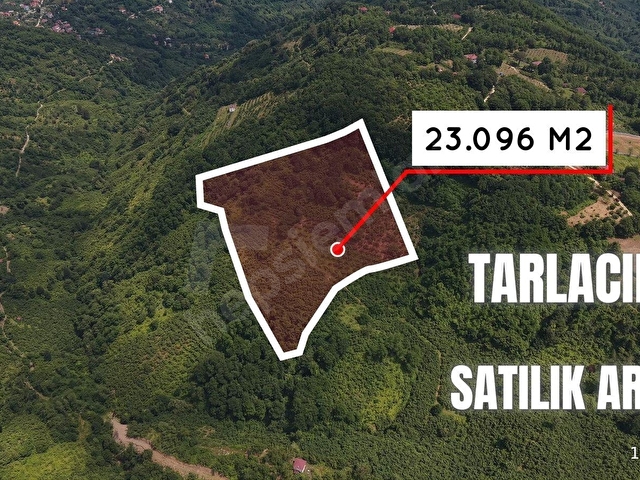 PERŞEMBE TARLACIKTA SATILIK 23.096 M² FINDIK BAHÇESİ VE TARLA - Görsel 7