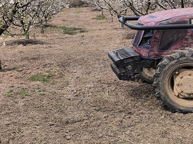 KARTEPE AVLUBURUNDA 300 AĞAÇLIK YÜK.GELİR GETİRİLİ ERİK BAHÇESİ - Görsel 22