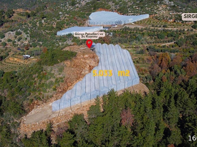 5.033 m² Kapalı Muz Serası | Güneş Enerjili | Takas Açık - Görsel 2